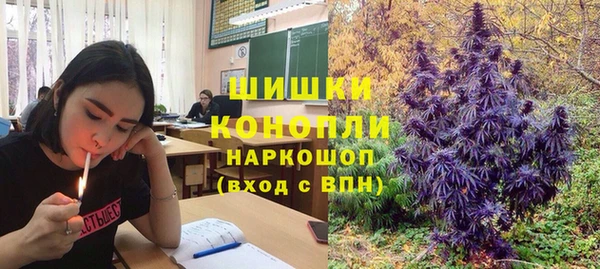 хмурый Каменка