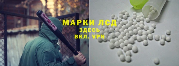 хмурый Каменка