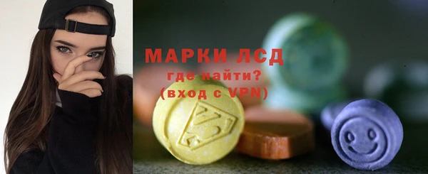 хмурый Каменка