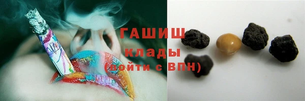 хмурый Каменка