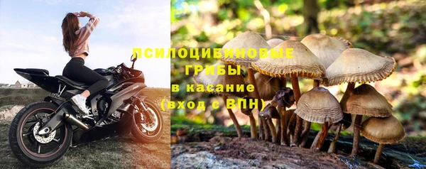 прущая мука Каменногорск