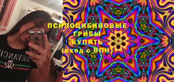 соль ск Каменск-Шахтинский