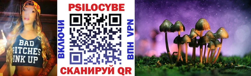 Купить закладки  Феодосия  Псилоцибиновые грибы Magic Shrooms 